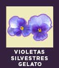 https://www.miahelados.com/wp-content/uploads/2019/04/14_violetasSilvestres.jpg